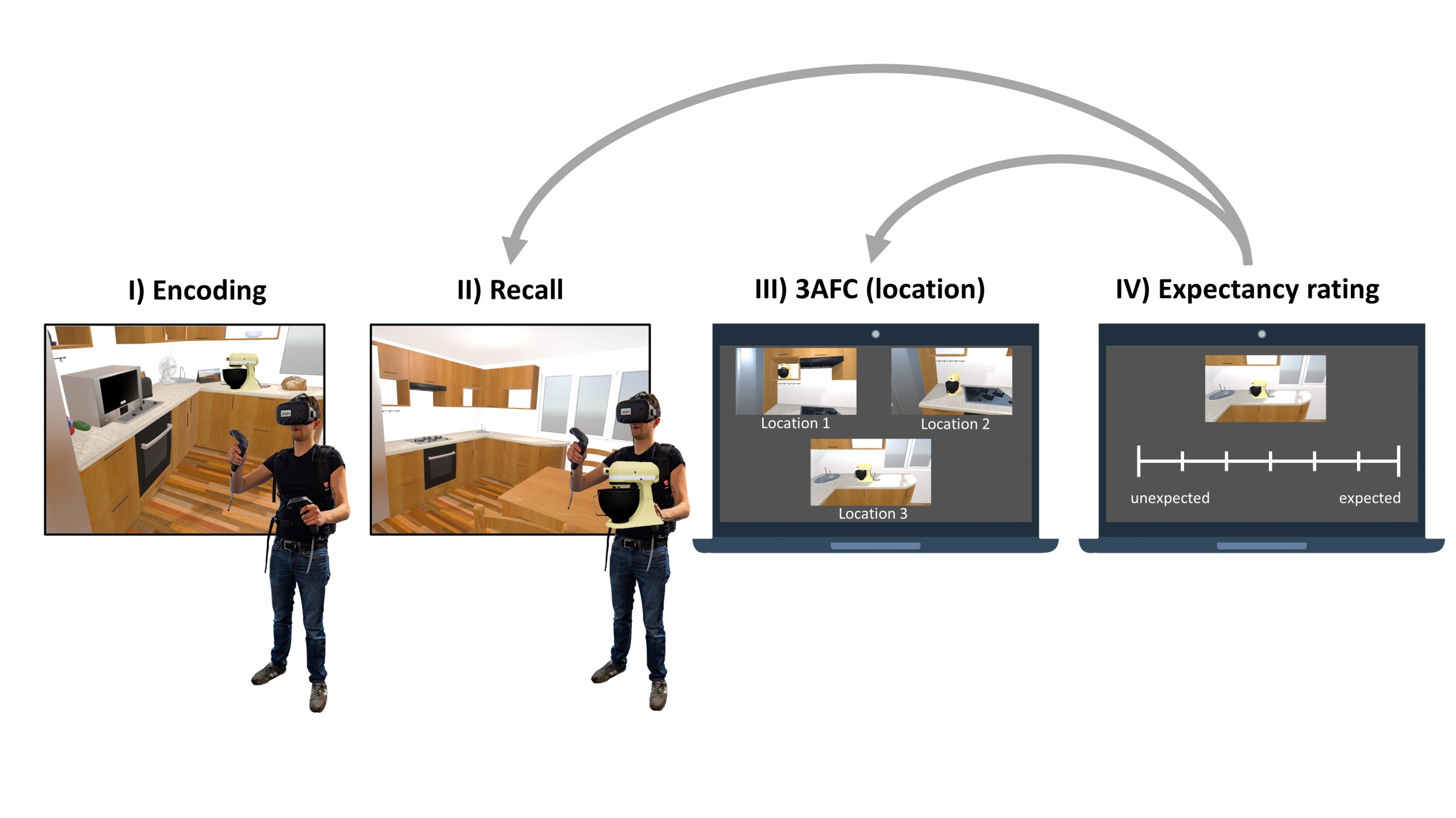 Overview Figure of Experiment