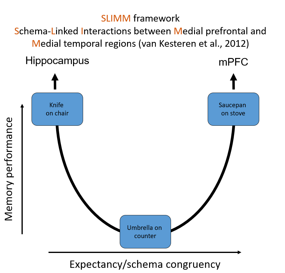 Overview Figure of Theory